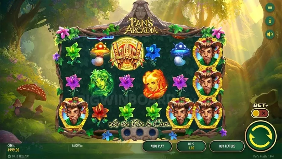 Variety of Bonuses